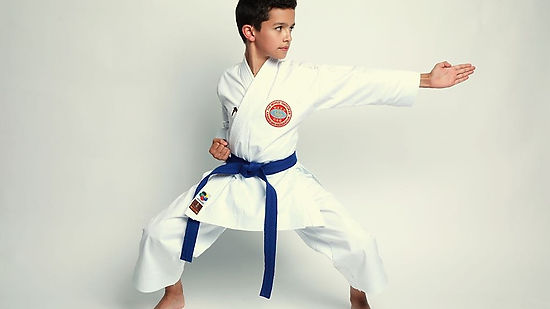 El Karate Infantil